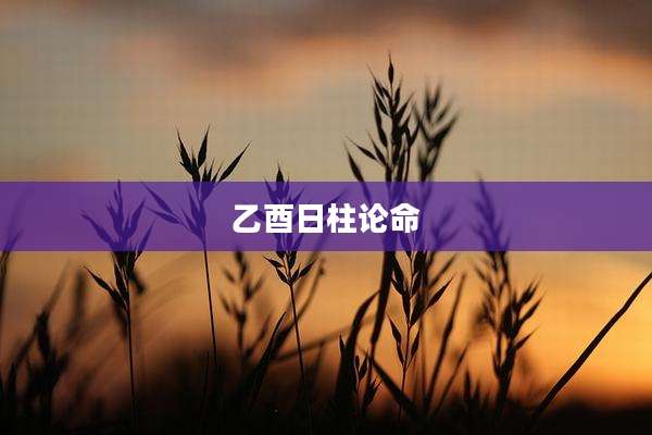 乙酉日柱论命
