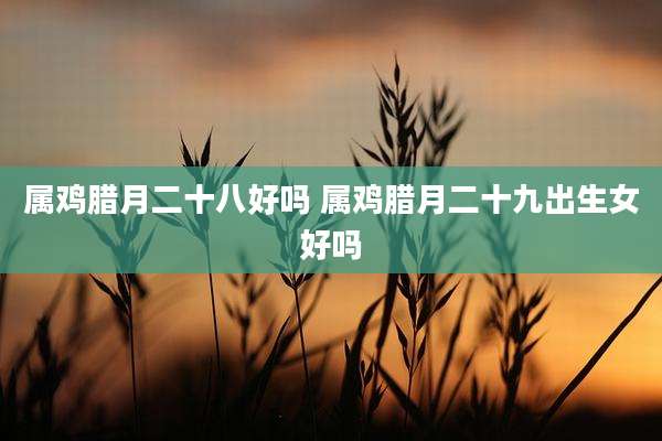属鸡腊月二十八好吗 属鸡腊月二十九出生女好吗