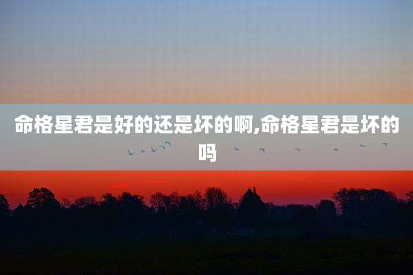 命格星君是好的还是坏的啊,命格星君是坏的吗