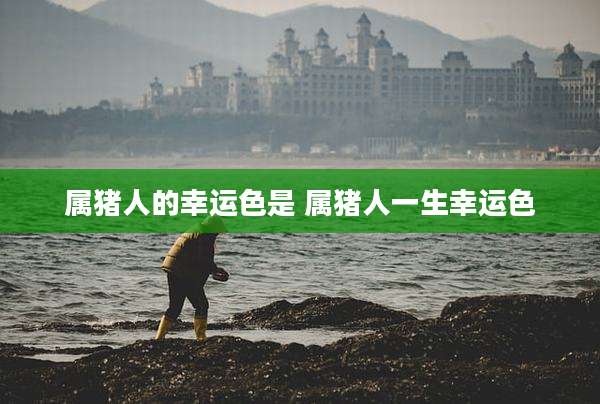 属猪人的幸运色是 属猪人一生幸运色