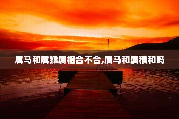 属马和属猴属相合不合,属马和属猴和吗