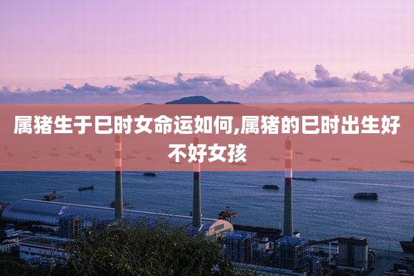 属猪生于巳时女命运如何,属猪的巳时出生好不好女孩