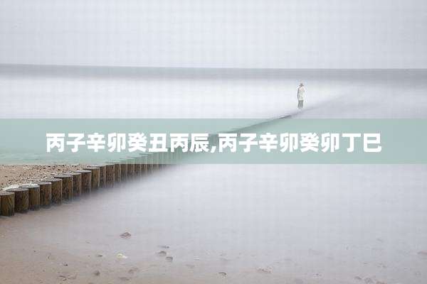 丙子辛卯癸丑丙辰,丙子辛卯癸卯丁巳