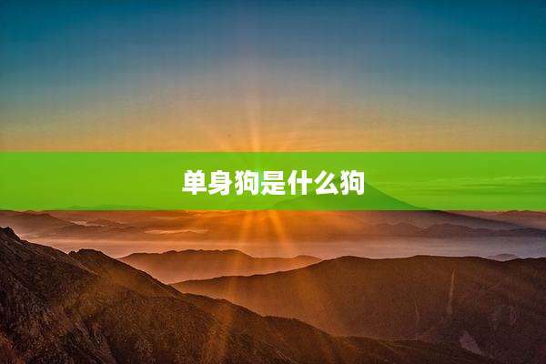 单身狗是什么狗