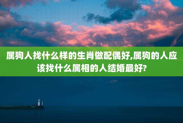 属狗人找什么样的生肖做配偶好,属狗的人应该找什么属相的人结婚最好?