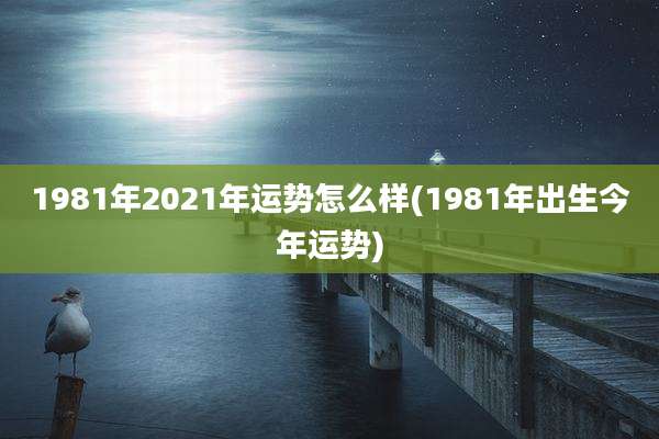 1981年2021年运势怎么样(1981年出生今年运势)