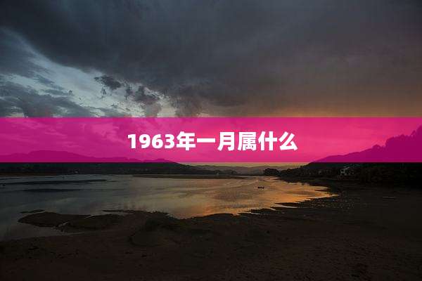 1963年一月属什么