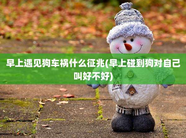 早上遇见狗车祸什么征兆(早上碰到狗对自己叫好不好)