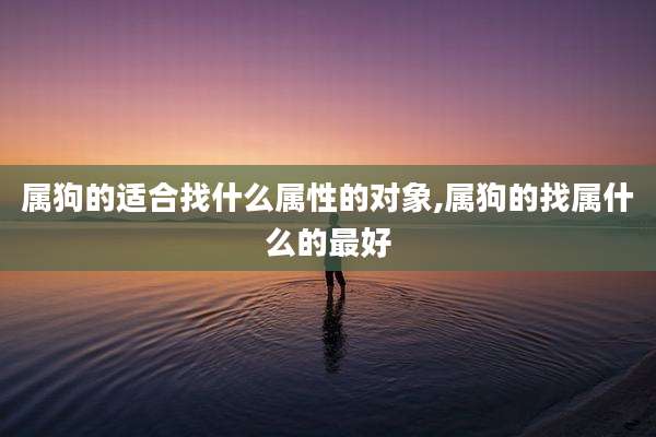 属狗的适合找什么属性的对象,属狗的找属什么的最好