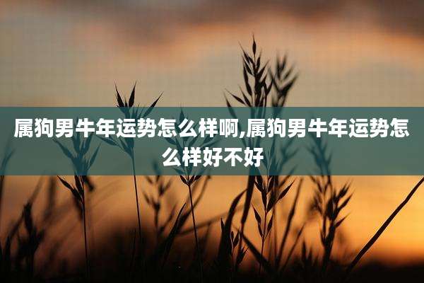 属狗男牛年运势怎么样啊,属狗男牛年运势怎么样好不好
