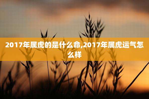 2017年属虎的是什么命,2017年属虎运气怎么样