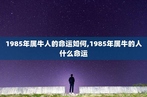 1985年属牛人的命运如何,1985年属牛的人什么命运