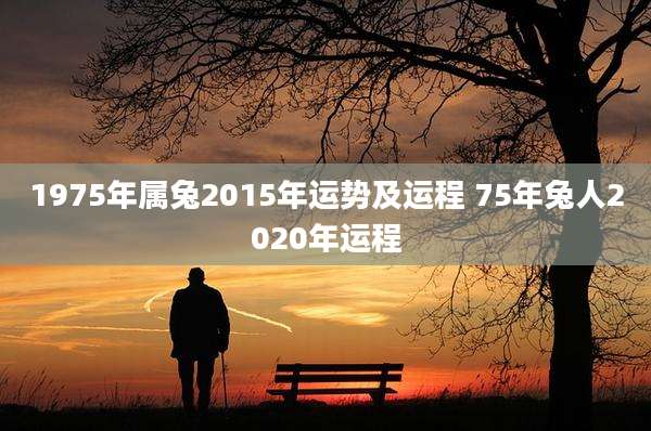 1975年属兔2015年运势及运程 75年兔人2020年运程
