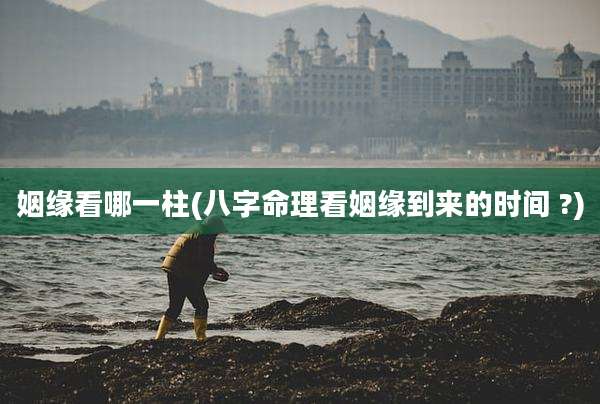 姻缘看哪一柱(八字命理看姻缘到来的时间 ?)