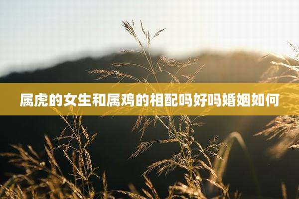 属虎的女生和属鸡的相配吗好吗婚姻如何