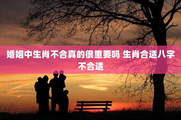 婚姻中生肖不合真的很重要吗 生肖合适八字不合适