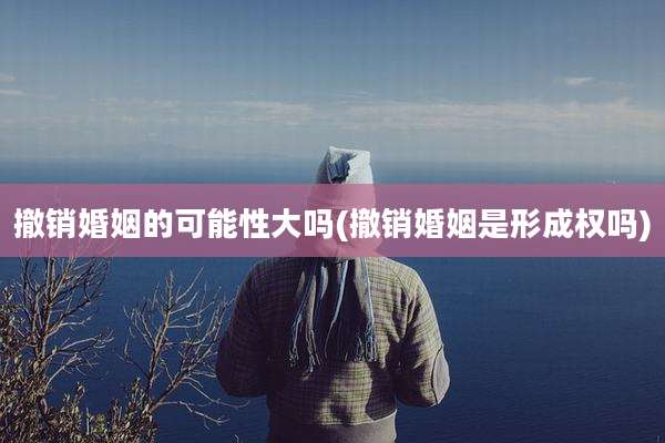 撤销婚姻的可能性大吗(撤销婚姻是形成权吗)