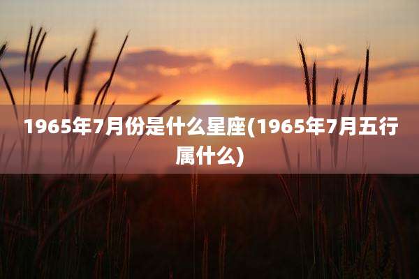 1965年7月份是什么星座(1965年7月五行属什么)