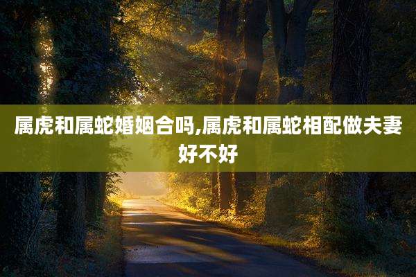 属虎和属蛇婚姻合吗,属虎和属蛇相配做夫妻好不好