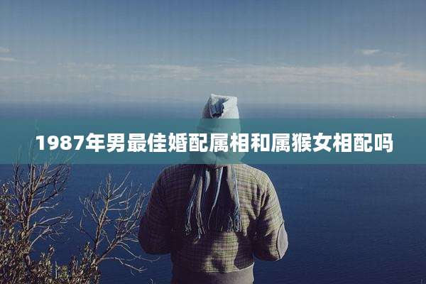 1987年男最佳婚配属相和属猴女相配吗