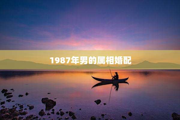 1987年男的属相婚配