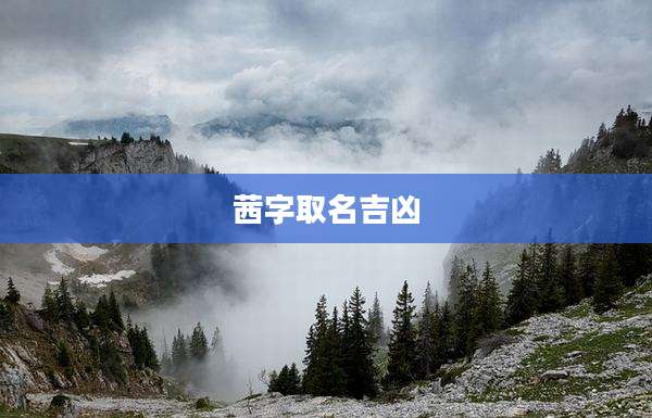 茜字取名吉凶