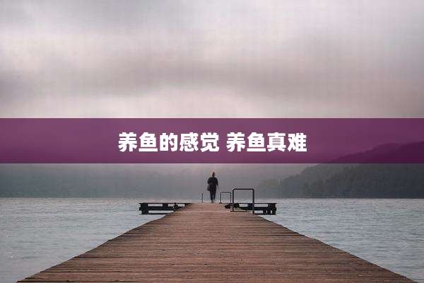 养鱼的感觉 养鱼真难