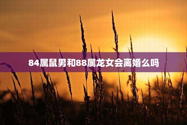 84属鼠男和88属龙女会离婚么吗