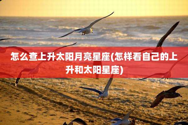 怎么查上升太阳月亮星座(怎样看自己的上升和太阳星座)