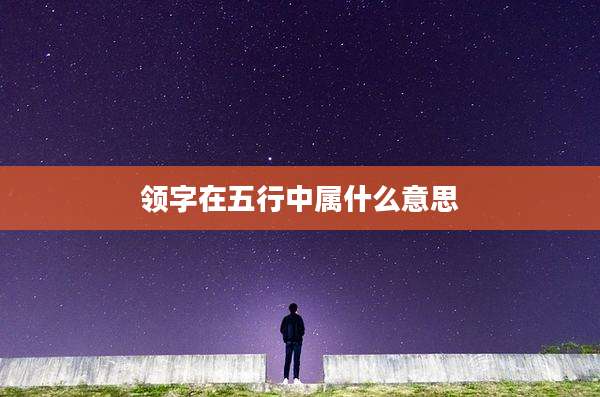 领字在五行中属什么意思