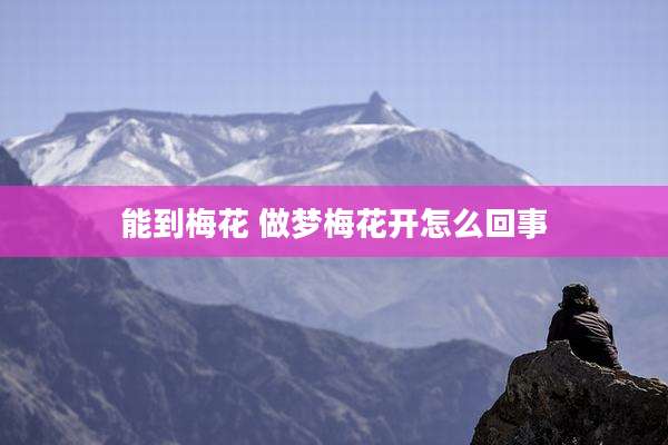 能到梅花 做梦梅花开怎么回事
