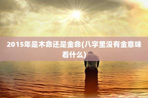 2015年是木命还是金命(八字里没有金意味着什么)