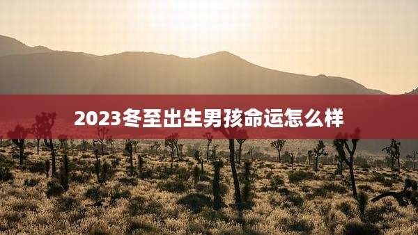 2023冬至出生男孩命运怎么样