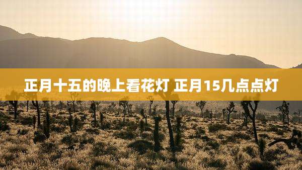 正月十五的晚上看花灯 正月15几点点灯