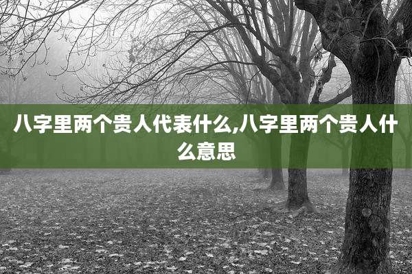 八字里两个贵人代表什么,八字里两个贵人什么意思