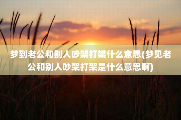 梦到老公和别人吵架打架什么意思(梦见老公和别人吵架打架是什么意思啊)
