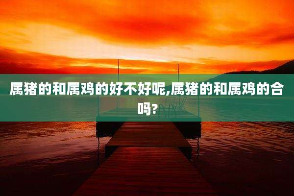 属猪的和属鸡的好不好呢,属猪的和属鸡的合吗?