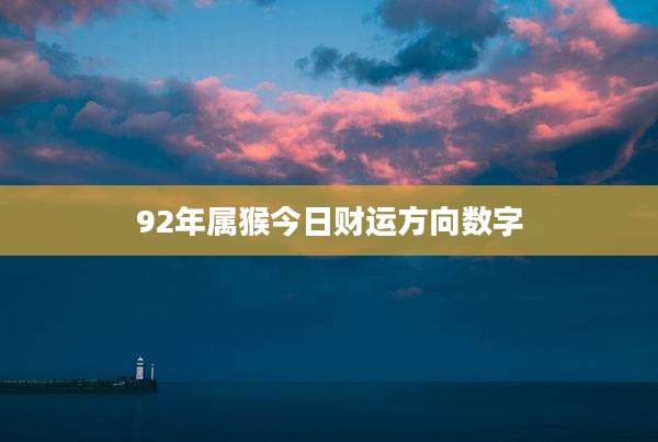 92年属猴今日财运方向数字