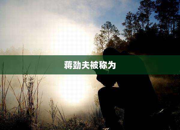 蒋劲夫被称为