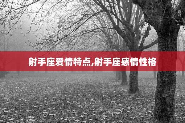 射手座爱情特点,射手座感情性格
