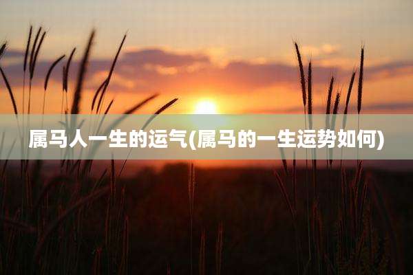 属马人一生的运气(属马的一生运势如何)