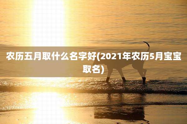 农历五月取什么名字好(2021年农历5月宝宝取名)