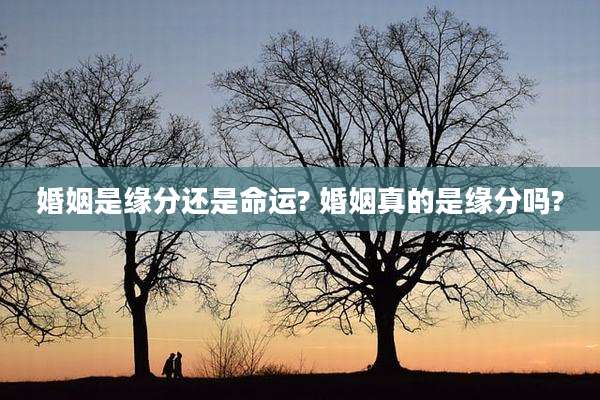 婚姻是缘分还是命运? 婚姻真的是缘分吗?