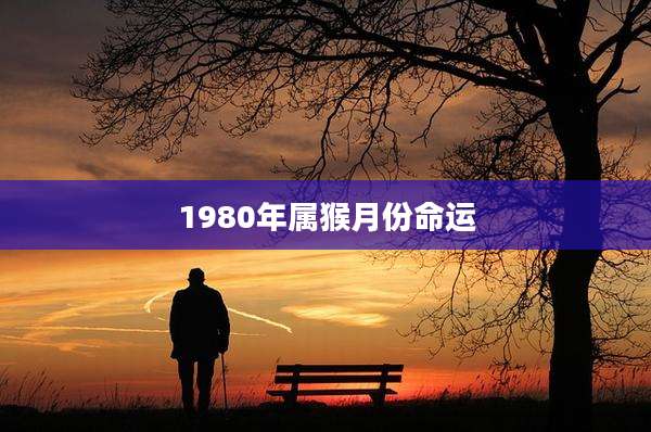 1980年属猴月份命运