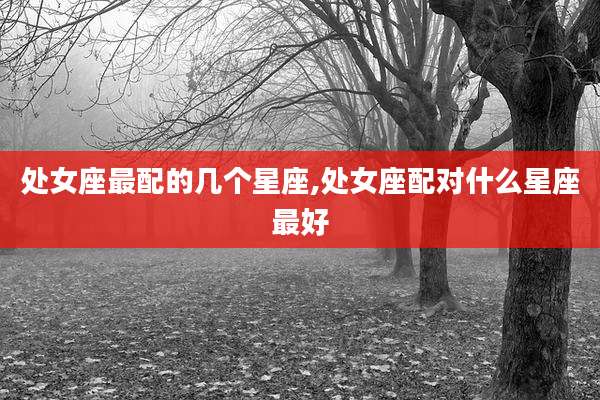处女座最配的几个星座,处女座配对什么星座最好