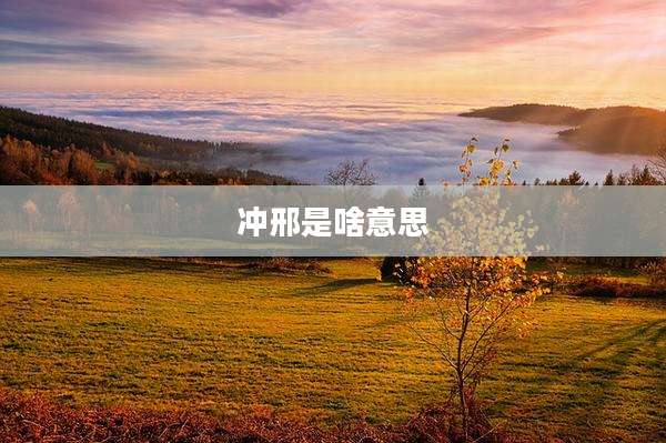 冲邢是啥意思
