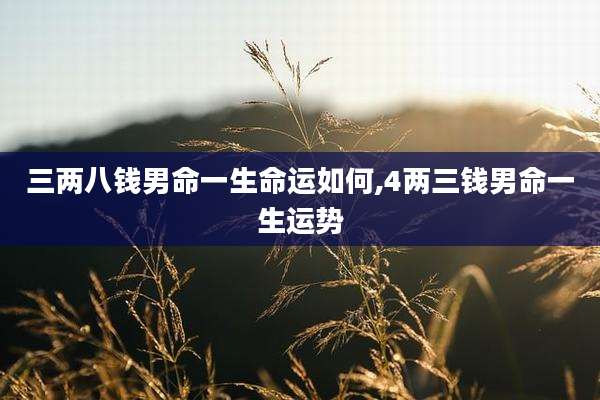 三两八钱男命一生命运如何,4两三钱男命一生运势