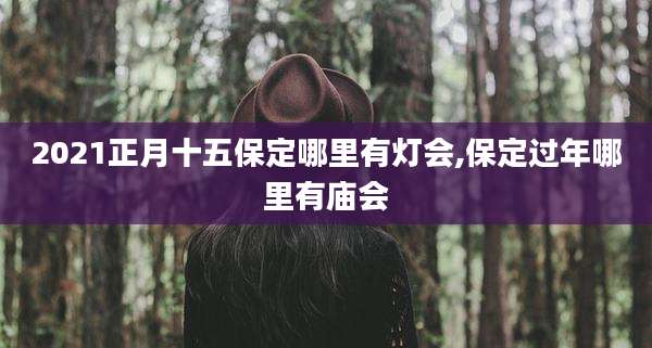 2021正月十五保定哪里有灯会,保定过年哪里有庙会