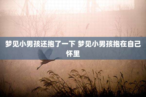 梦见小男孩还抱了一下 梦见小男孩抱在自己怀里