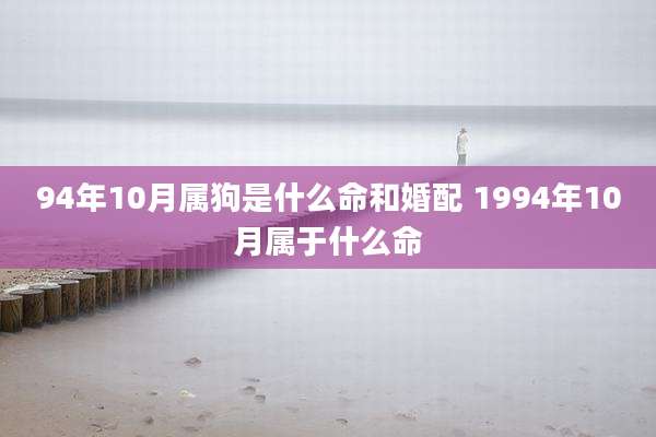 94年10月属狗是什么命和婚配 1994年10月属于什么命